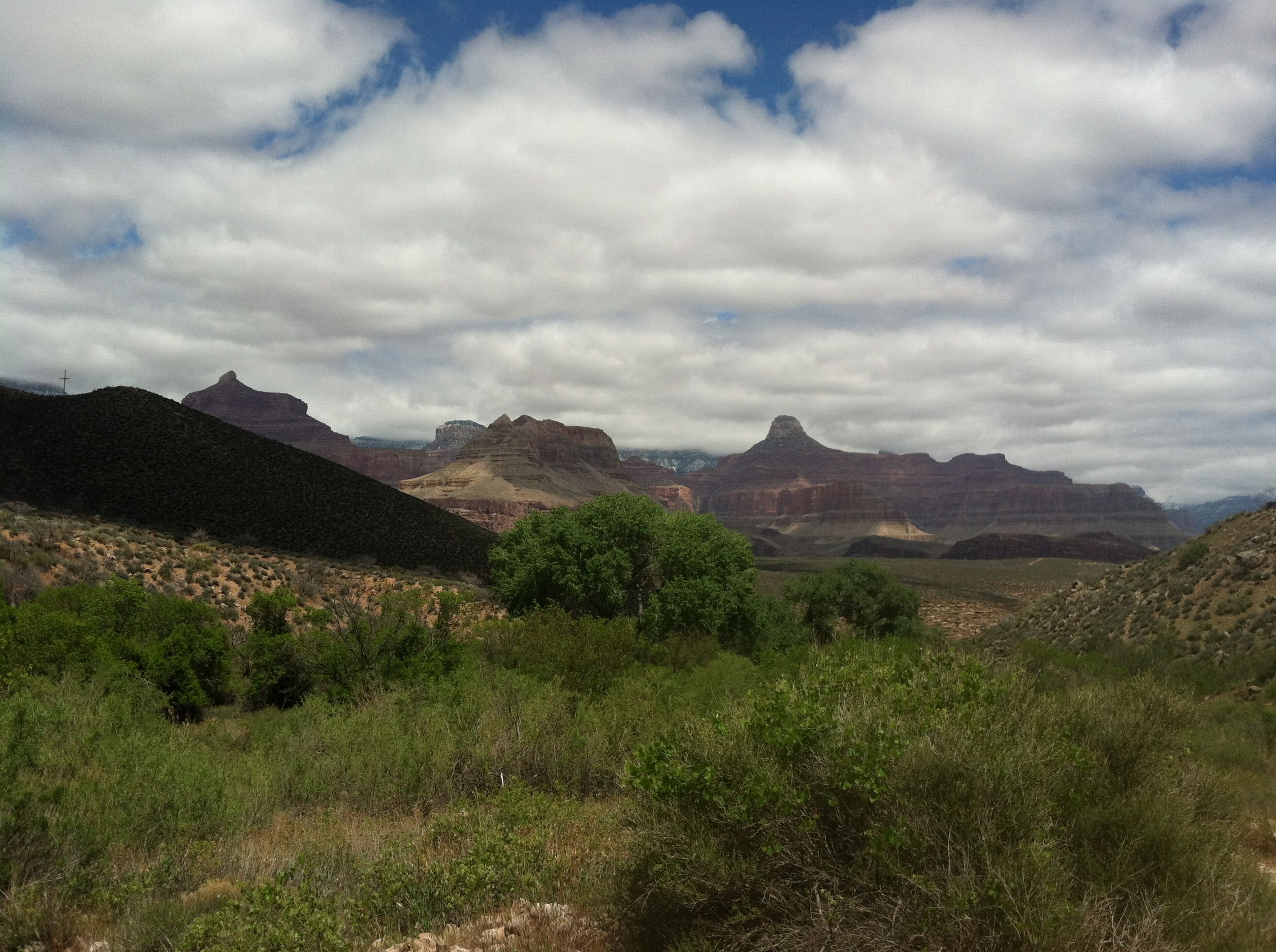 a view of the Grand Canyon I took from a field from East Tonto trail to West Tonto trail
