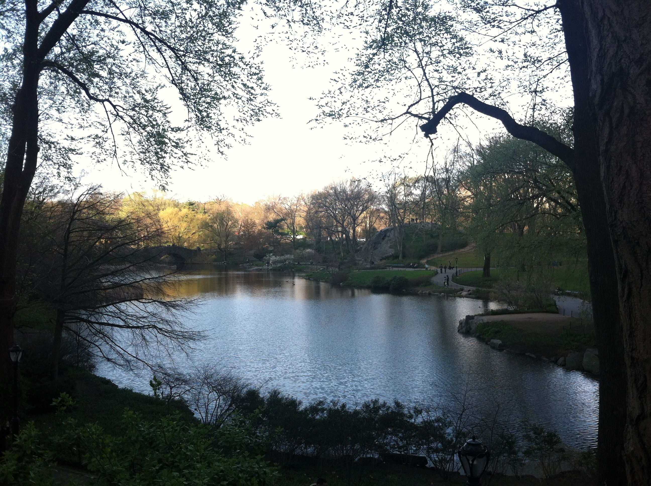 a view of the pond at the bottom of Central Park by Columbus Circle