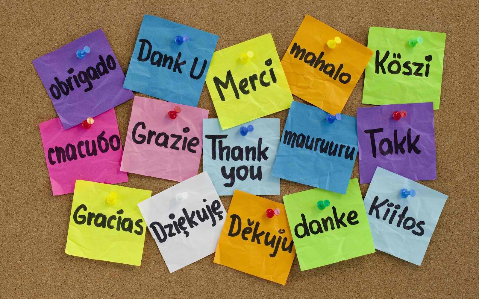 post it notes with thank you written in different languages