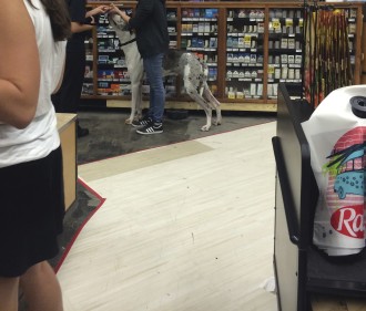 a huge dog inside Ralph's grocery store in Los Angeles