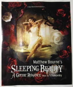 Sleeping Beauty Poster #2