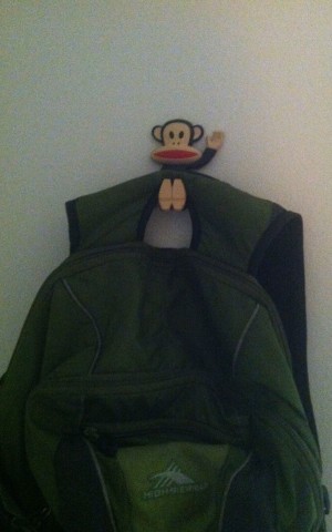My awesome little monkey hook. (I got it from Target in case you want one.)