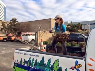 Aurora De Lucia throwing a dead tree out of the back of a Tree Musketeers truck