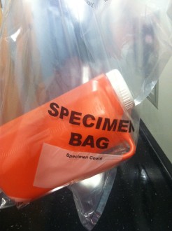 pee jug inside a specimen bag