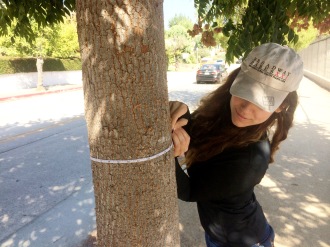 Aurora De Lucia looking down at a tape measure on a tree while tree mapping