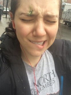 Aurora furrowing face with pigeon poop