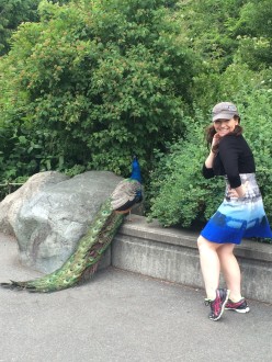 Aurora at the Seattle zoo with a peacock