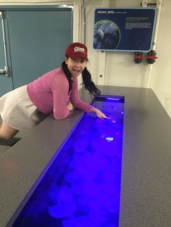 Aurora leaning by the jellyfish tank