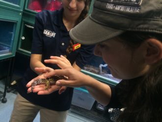 Aurora petting a reptile