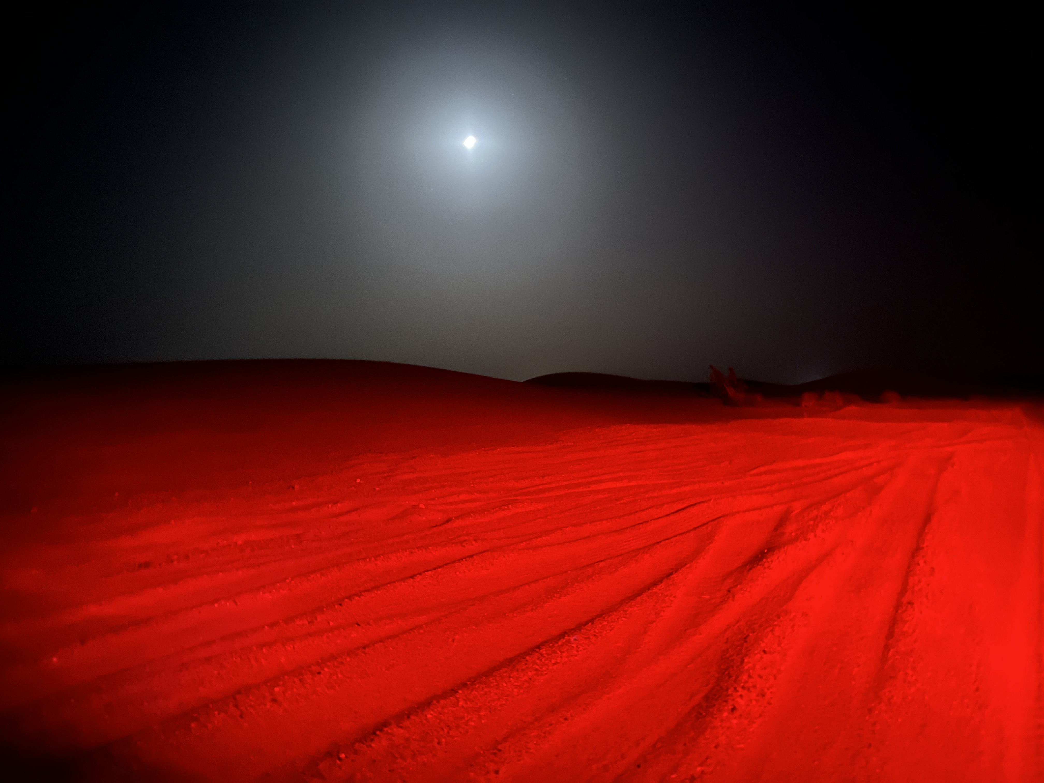 The Sahara Desert lit by brake lights from a car, at night. Red sand sprawls everywhere, under the moon.